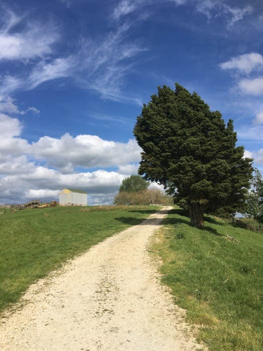 farm airstrip